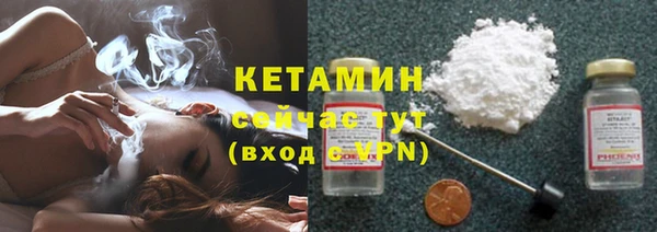 сатива Кукмор