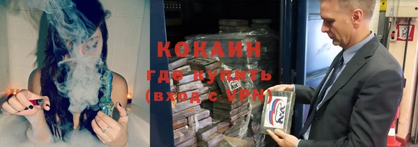 сатива Кукмор