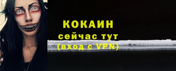 сатива Кукмор