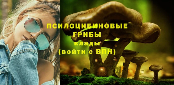 сатива Кукмор
