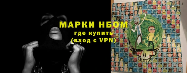 сатива Кукмор