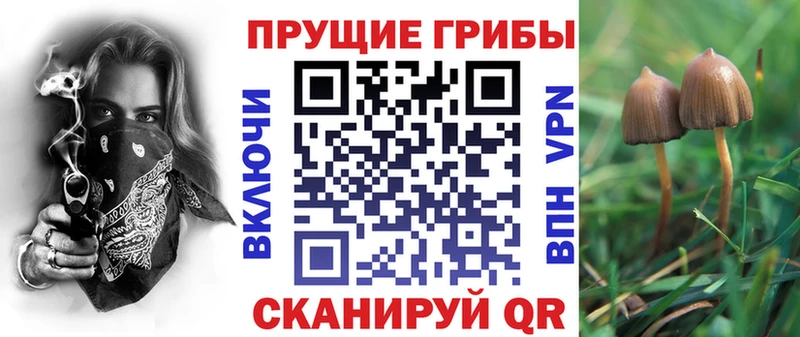 Купить где  Апрелевка  Галлюциногенные грибы ЛСД 